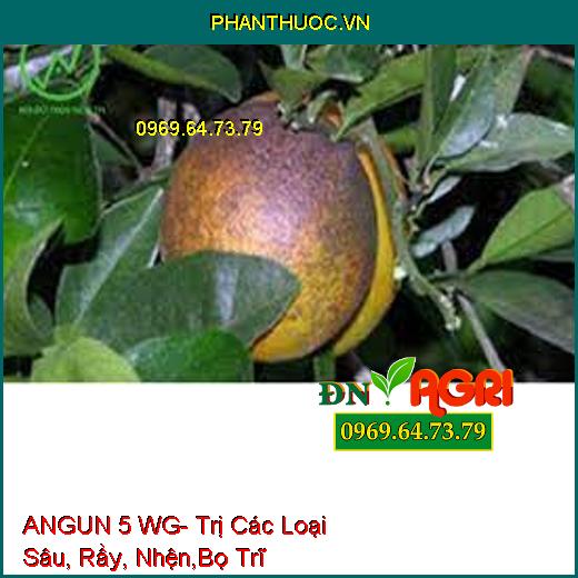 ANGUN 5 WG- Trị Các Loại Sâu, Rầy, Nhện,Bọ Trĩ