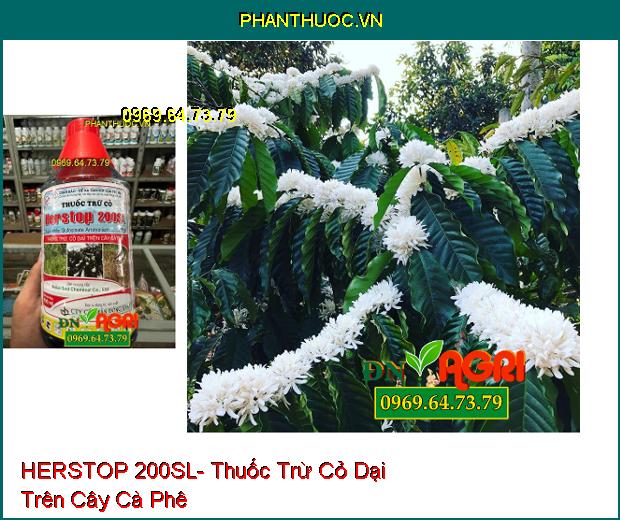 HERSTOP 200SL- Thuốc Trừ Cỏ Dại Trên Cây Cà Phê