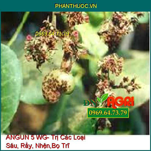 ANGUN 5 WG- Trị Các Loại Sâu, Rầy, Nhện,Bọ Trĩ