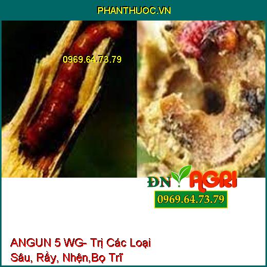 ANGUN 5 WG- Trị Các Loại Sâu, Rầy, Nhện,Bọ Trĩ