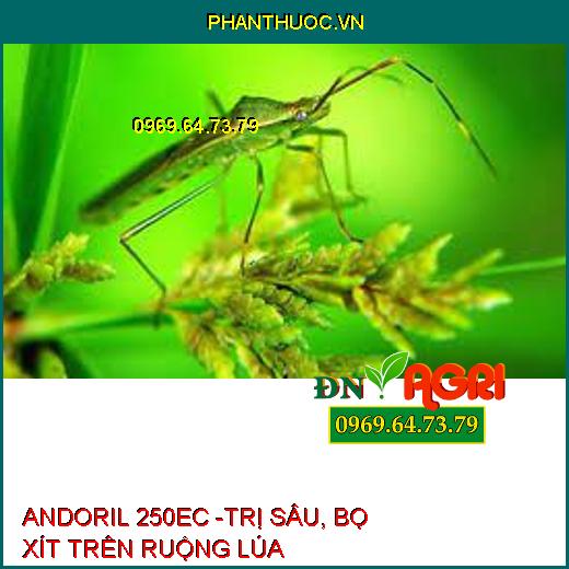 ANDORIL 250EC -TRỊ SÂU, BỌ XÍT TRÊN RUỘNG LÚA