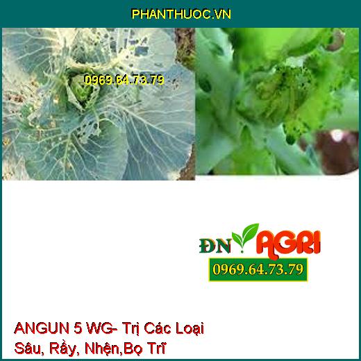 ANGUN 5 WG- Trị Các Loại Sâu, Rầy, Nhện,Bọ Trĩ