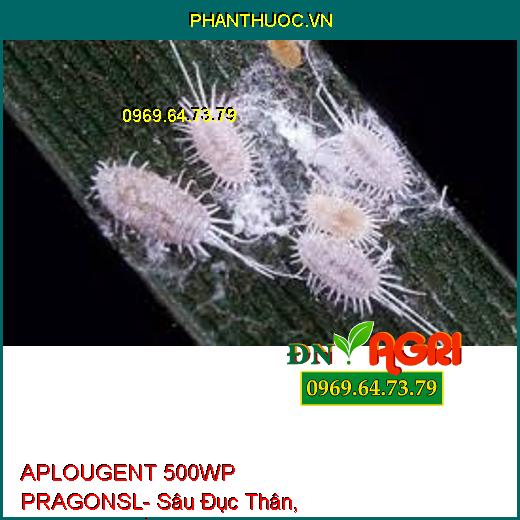 APLOUGENT 500WP PRAGONSL- Sâu Đục Thân, Sâu Xanh, Rầy Nâu