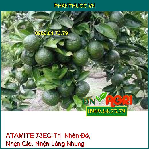 ATAMITE 73EC-Trị Nhện Đỏ, Nhện Gié, Nhện Lông Nhung