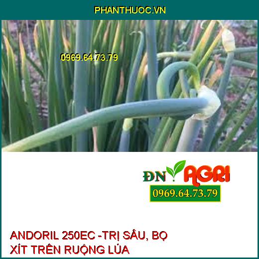 ANDORIL 250EC -TRỊ SÂU, BỌ XÍT TRÊN RUỘNG LÚA