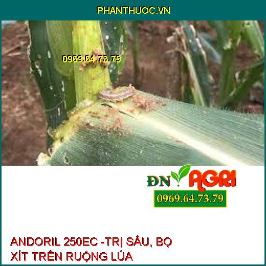 ANDORIL 250EC -TRỊ SÂU, BỌ XÍT TRÊN RUỘNG LÚA