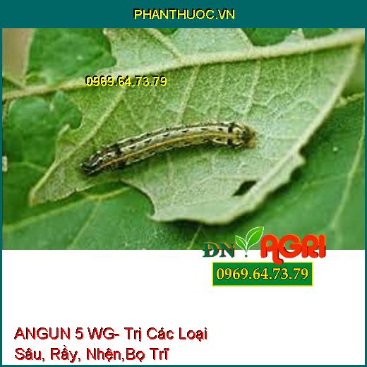 ANGUN 5 WG- Trị Các Loại Sâu, Rầy, Nhện,Bọ Trĩ