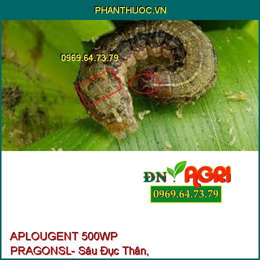 APLOUGENT 500WP PRAGONSL- Sâu Đục Thân, Sâu Xanh, Rầy Nâu