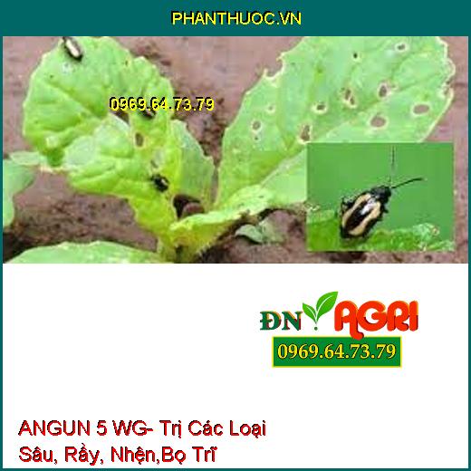 ANGUN 5 WG- Trị Các Loại Sâu, Rầy, Nhện,Bọ Trĩ