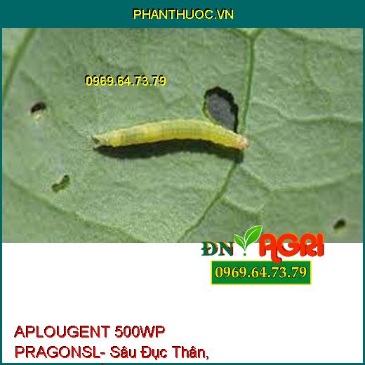 APLOUGENT 500WP PRAGONSL- Sâu Đục Thân, Sâu Xanh, Rầy Nâu