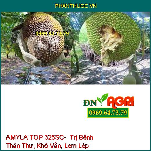 AMYLA TOP 325SC- Trị Bếnh Thán Thư, Khô Vằn, Lem Lép Hạt
