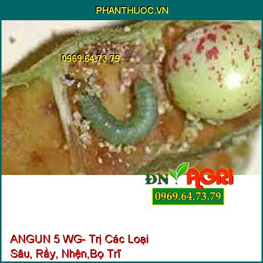 ANGUN 5 WG- Trị Các Loại Sâu, Rầy, Nhện,Bọ Trĩ