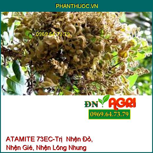 ATAMITE 73EC-Trị Nhện Đỏ, Nhện Gié, Nhện Lông Nhung