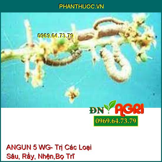 ANGUN 5 WG- Trị Các Loại Sâu, Rầy, Nhện,Bọ Trĩ