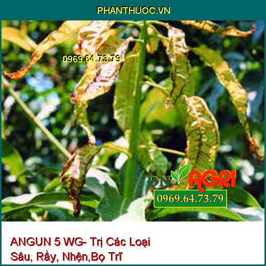 ANGUN 5 WG- Trị Các Loại Sâu, Rầy, Nhện,Bọ Trĩ