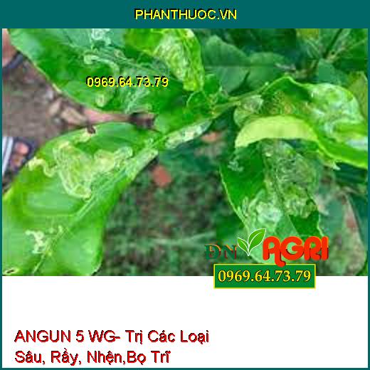 ANGUN 5 WG- Trị Các Loại Sâu, Rầy, Nhện,Bọ Trĩ