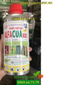 ALFACUA 10EC- Thuốc Đặc Trị Rệp Sáp, Bọ Xít Muỗi, Sâu Khoang, Sâu Đục Bẹ