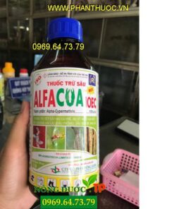 ALFACUA 10EC- Thuốc Đặc Trị Bọ Xít Muỗi, Sâu Khoang, Sâu Đục Bẹ Chai Nhựa 1 Lít