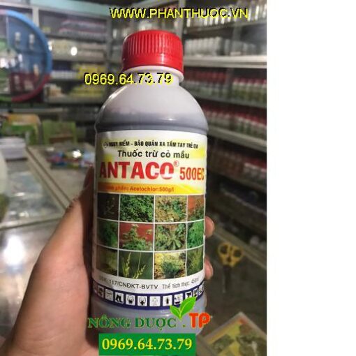 ANTACO 500EC – Thuốc Trừ Cỏ Lá Rộng Và Lá Hẹp Trên Ngô, Lạc, Khoai Mì, Mía