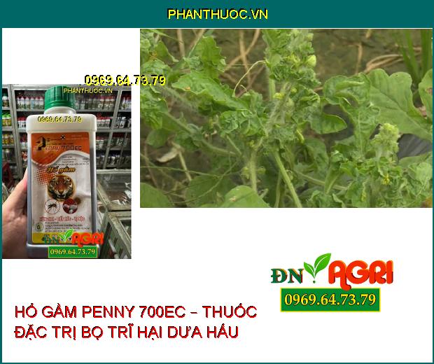 HỔ GẦM PENNY 700EC – THUỐC ĐẶC TRỊ RẦY, RỆP SÁP, TUYẾN TRÙNG CỰC HIỆU QUẢ