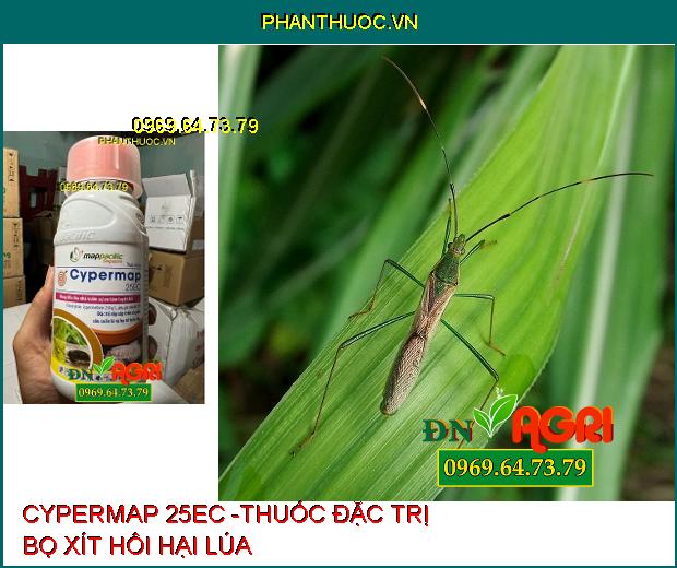 CYPERMAP 25EC -THUỐC ĐẶC TRỊ RỆP SÁP HẠI CÀ PHÊ, BỌ TRĨ, SÂU CUỐN LÁ, BỌ XÍT HÔI HẠI LÚA