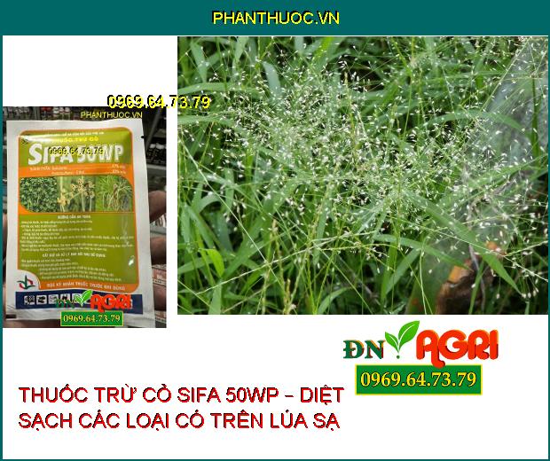 THUỐC TRỪ CỎ SIFA 50WP – DIỆT SẠCH CÁC LOẠI CÓ TRÊN LÚA SẠ 