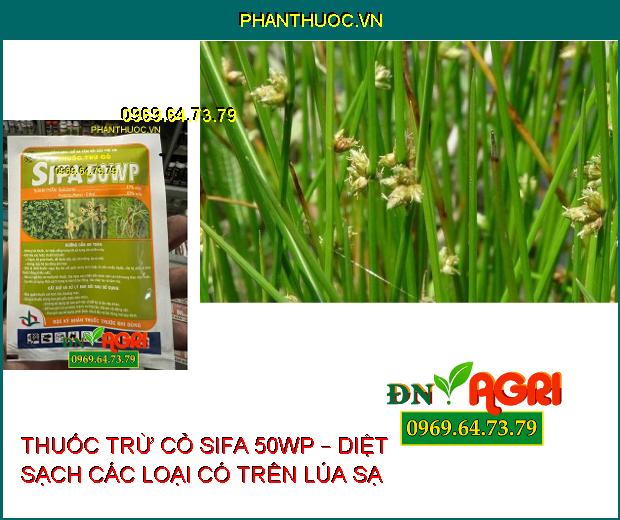 THUỐC TRỪ CỎ SIFA 50WP – DIỆT SẠCH CÁC LOẠI CÓ TRÊN LÚA SẠ 