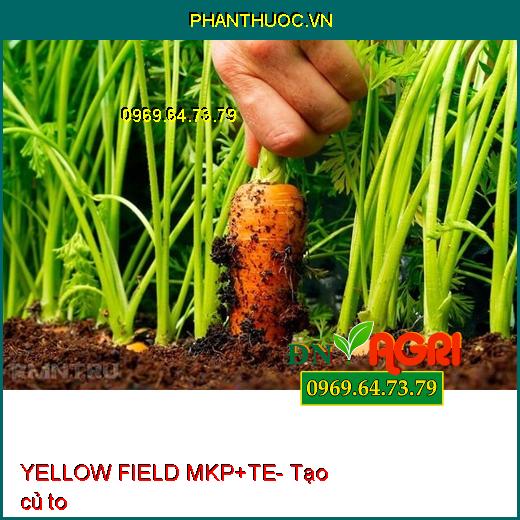 YELLOW FIELD MKP+TE- Phân Bón Cao Cấp Chuyên Dùng Kích Ra Hoa Nghịch Mùa