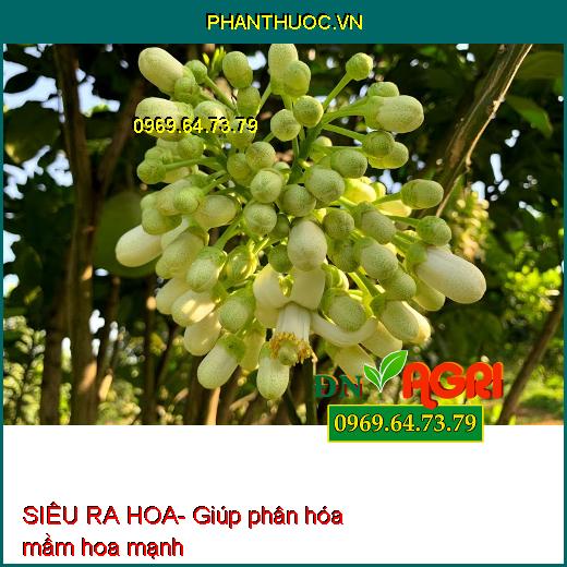 SIÊU RA HOA- Phân Bón Phân Hóa mầm Hoa, Ra Hoa Đậu Trái Đồng Loạt