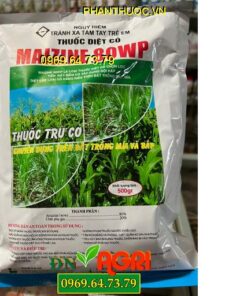 MAIZINE 80WP- Thuốc Diệt Cỏ Chọn Lọc Trên Đất Trồng Mía Và Bắp