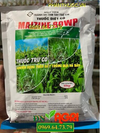 MAIZINE 80WP- Thuốc Diệt Cỏ Chọn Lọc Trên Đất Trồng Mía Và Bắp