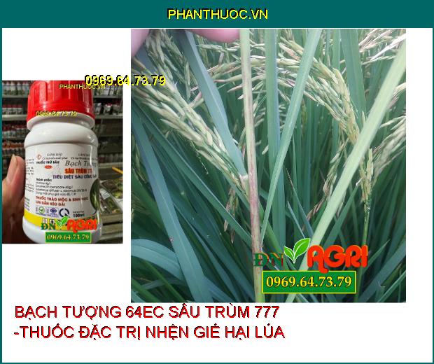 BẠCH TƯỢNG 64EC SÂU TRÙM 777 -THUỐC ĐẶC TRỊ NHỆN ĐỎ, RẦY NÂU, NHỆN GIÉ, SÂU XANH