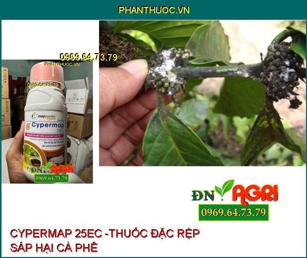 CYPERMAP 25EC -THUỐC ĐẶC TRỊ RỆP SÁP HẠI CÀ PHÊ, BỌ TRĨ, SÂU CUỐN LÁ, BỌ XÍT HÔI HẠI LÚA