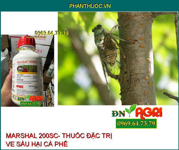 MARSHAL 200SC- Thuốc Đặc Trị Rầy Nâu, Sâu Đục Thân, Rệp Sáp, Ve Sầu