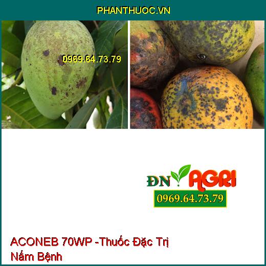 ACONEB 70WP -Thuốc Đặc Trị Nấm Bệnh