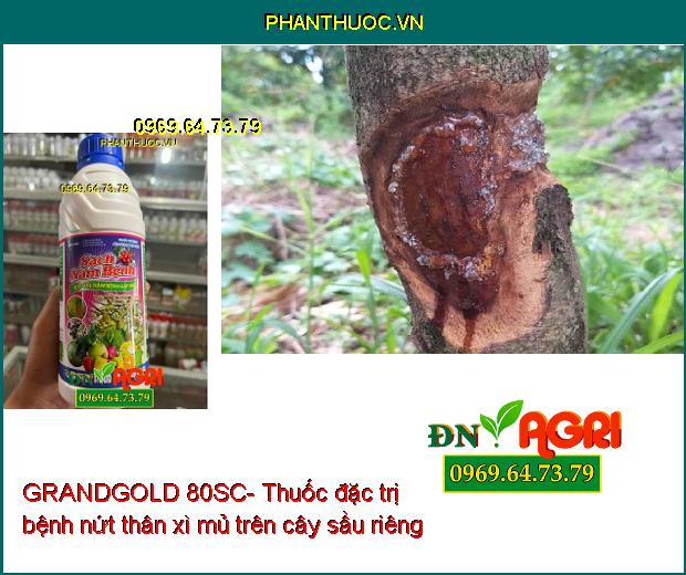 GRANDGOLD 80SC- Thuốc Đặc Trị Thán Thư, Ghẻ Sẹo, Xì Mủ, Cháy Lá, Nấm Hồng