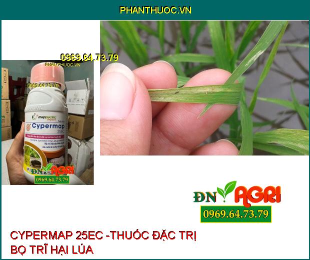 CYPERMAP 25EC -THUỐC ĐẶC TRỊ RỆP SÁP HẠI CÀ PHÊ, BỌ TRĨ, SÂU CUỐN LÁ, BỌ XÍT HÔI HẠI LÚA