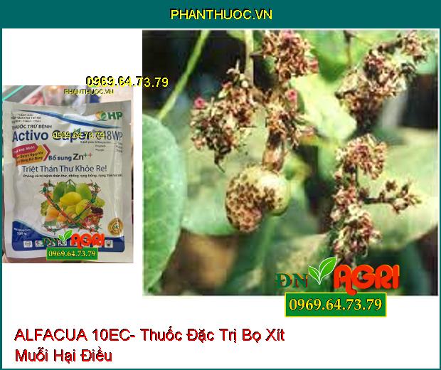 ALFACUA 10EC- Thuốc Đặc Trị Rệp Sáp, Bọ Xít Muỗi, Sâu Khoang, Sâu Đục Bẹ