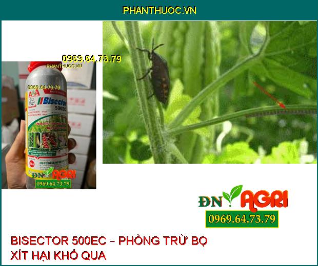 THUỐC TRỪ SÂU BISECTOR 500EC – PHÒNG TRỪ RÂY NÂU HẠI LÚA, RỆP SÁP HẠI CÀ PHÊ