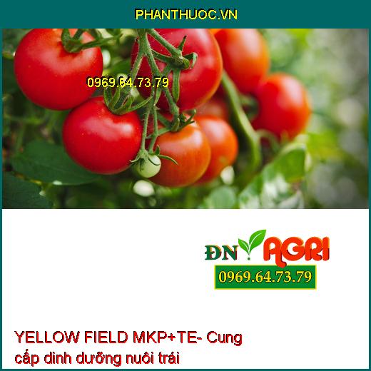 YELLOW FIELD MKP+TE- Phân Bón Cao Cấp Chuyên Dùng Kích Ra Hoa Nghịch Mùa