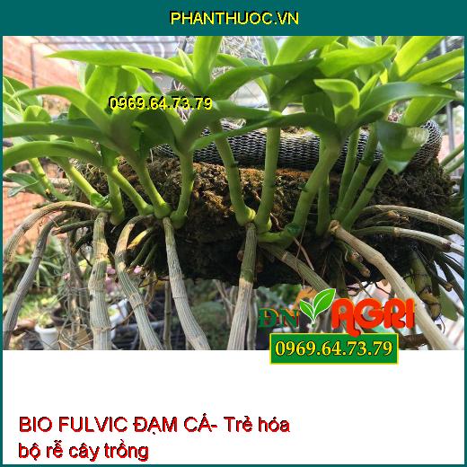 BIO FULVIC ĐẠM CÁ- Ra Rễ Cực Mạnh,Cứng Cây, Tăng Ra Hoa, Đậu Trái, Cải Tạo Đất