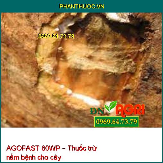 AGOFAST 80WP – Thuốc trừ nấm bệnh cho cây