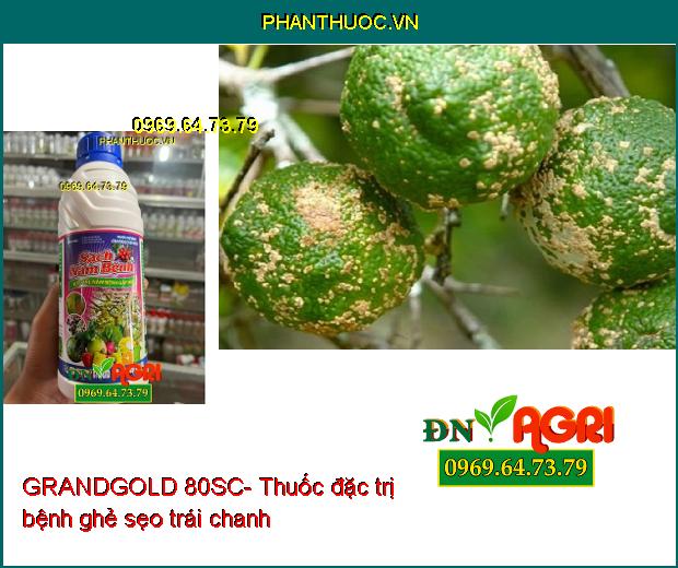 GRANDGOLD 80SC- Thuốc Đặc Trị Thán Thư, Ghẻ Sẹo, Xì Mủ, Cháy Lá, Nấm Hồng