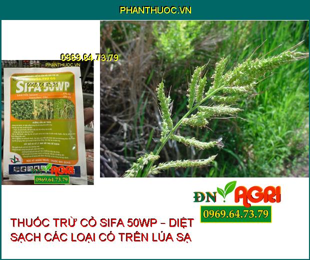 THUỐC TRỪ CỎ SIFA 50WP – DIỆT SẠCH CÁC LOẠI CÓ TRÊN LÚA SẠ 