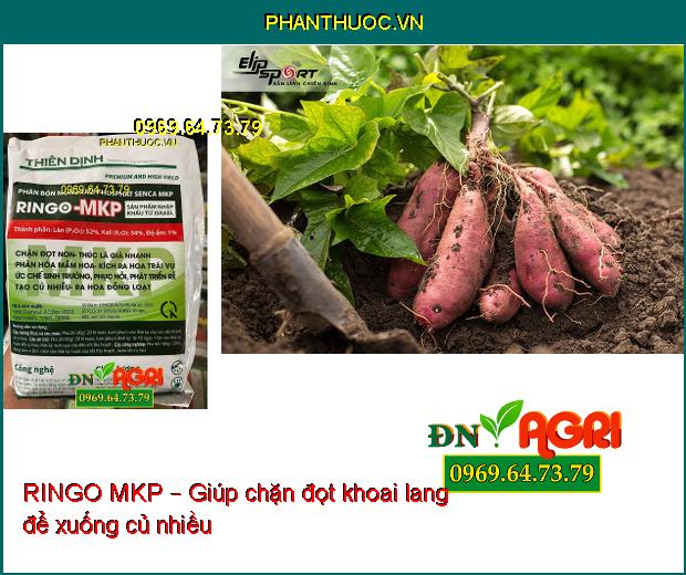 RINGO MKP – PHÂN BÓN KÍCH THÍCH RA HOA TRÁI VỤ, PHÁT TRIỂN RỂ, CỦ NHIỀU