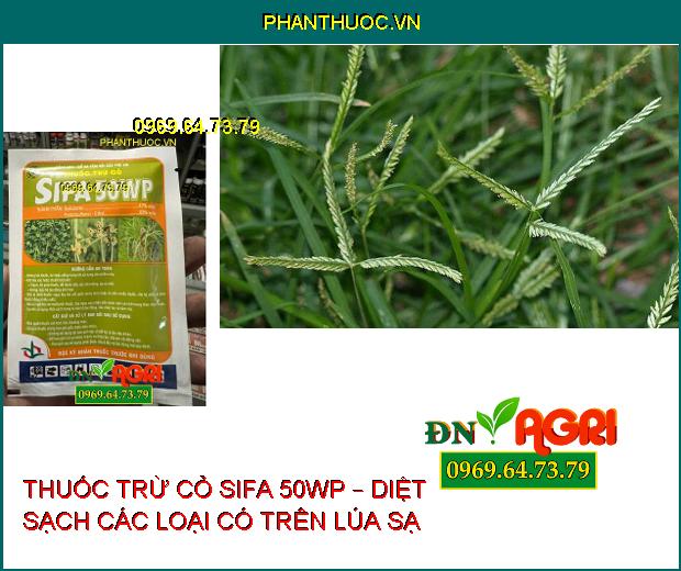 THUỐC TRỪ CỎ SIFA 50WP – DIỆT SẠCH CÁC LOẠI CÓ TRÊN LÚA SẠ 