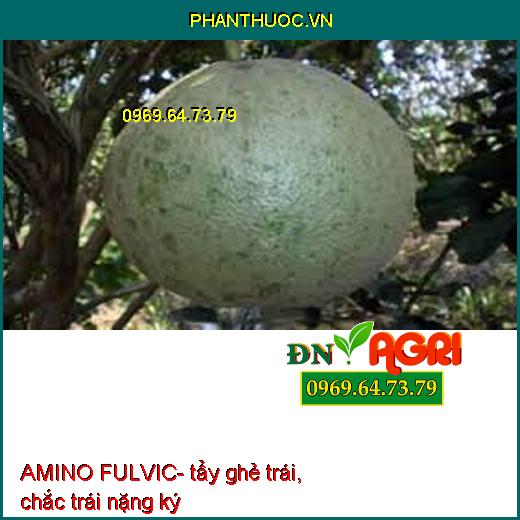 AMINO FULVIC tẩy ghẻ trái, chắc trái nặng ký