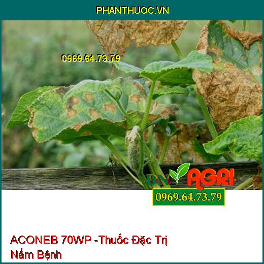 ACONEB 70WP -Thuốc Đặc Trị Nấm Bệnh