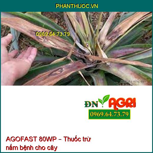 AGOFAST 80WP – Thuốc trừ nấm bệnh cho cây