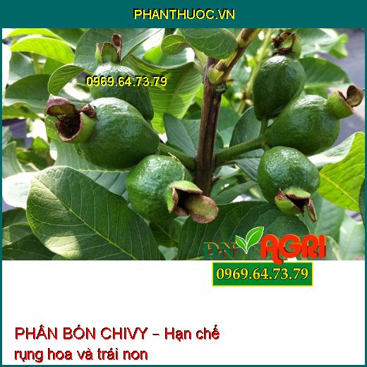 PHÂN BÓN CHIVY – BỔ SUNG VI LƯỢNG CHO CÂY TRỒNG 250ML